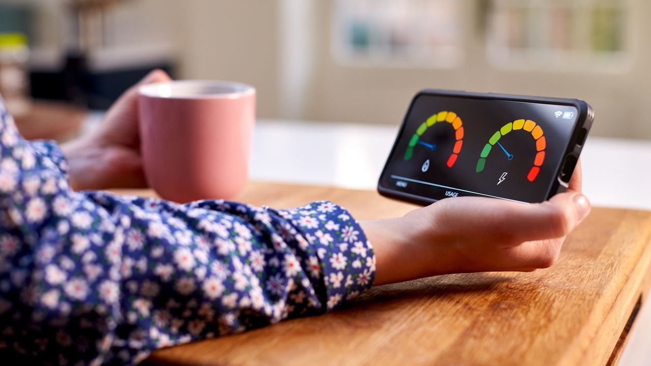 Avanci rolls out smart meter licensing in ‘growing market’ | World IP ...